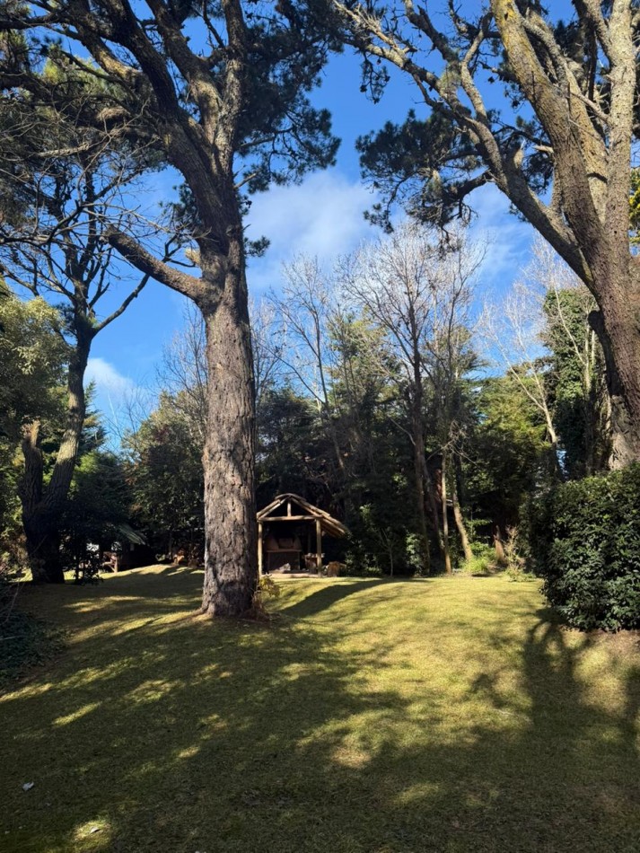 venta de lote en carilo 