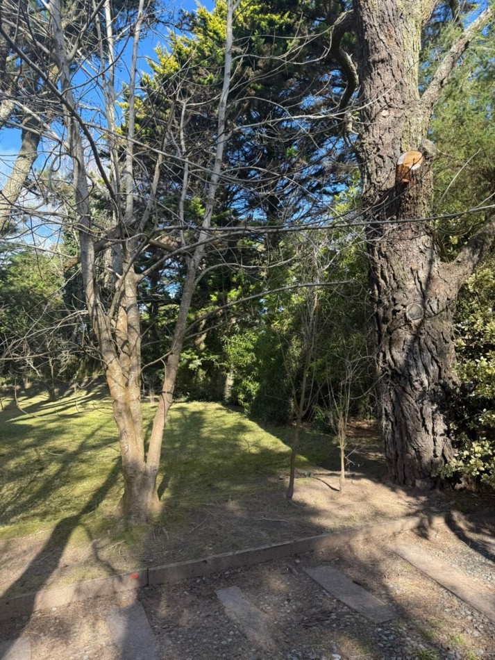 venta de lote en carilo 