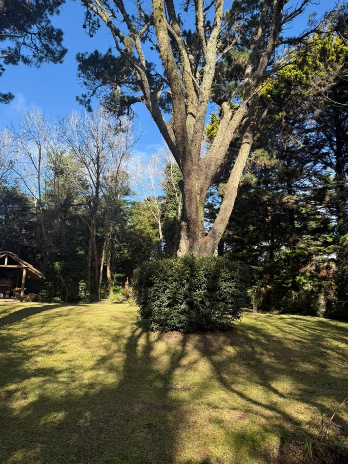 venta de lote en carilo 